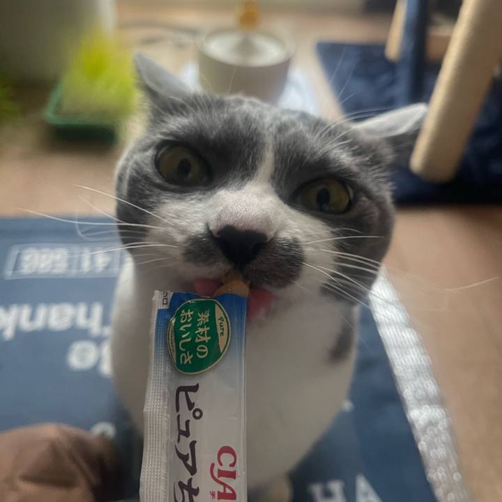 80ebd417 8547 4528 aeeb 03963ba6a873 1709361124430