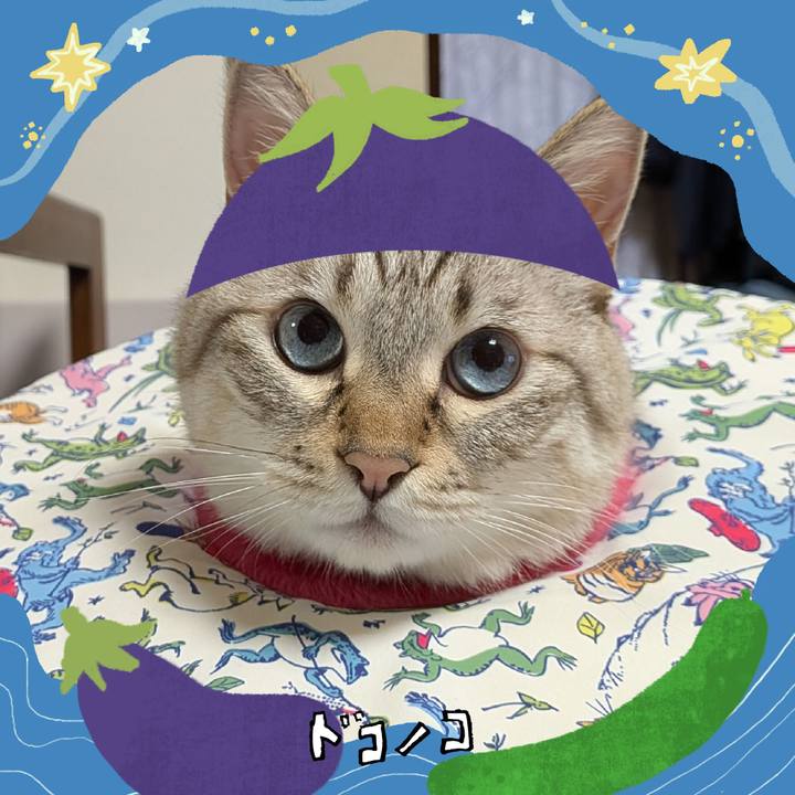 80ebe5db eac6 42a6 a0dd 1c2775b32d01 1755523039725