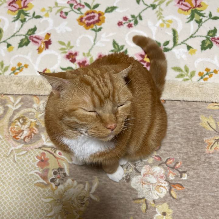 80ebe912 ca65 4fad bb10 2d375ab4563e 1665488901766