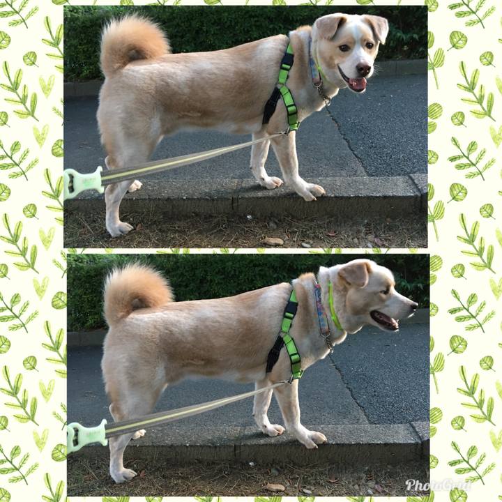 80ebf2a6 e217 4333 8222 02948fc51efc 1526120732211