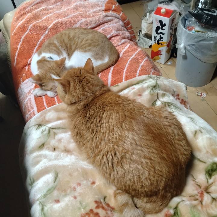 80ec2103 eb74 41ea a1e3 6ef8695b80cb 1736681694421