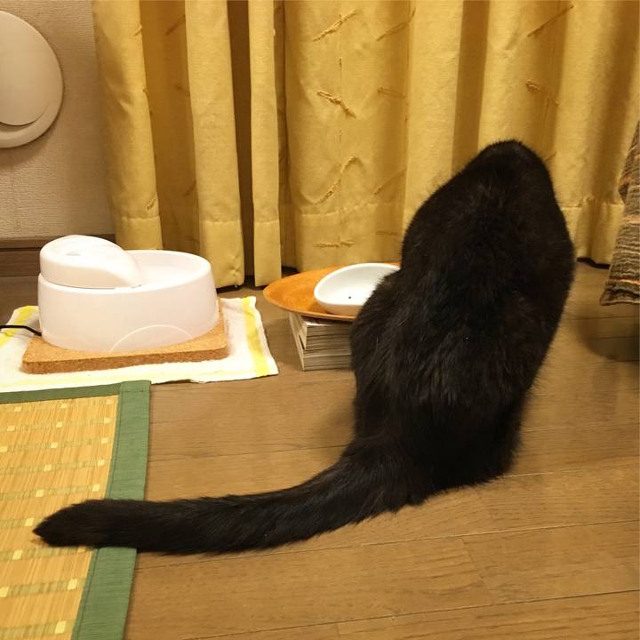 80ec3a72 00ee 4835 83f0 ae8c22f32dad 1532108094152