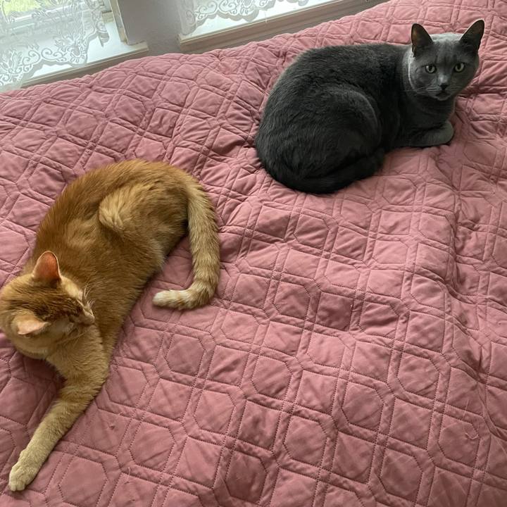 80ec4315 ac16 412d b860 3de05b9472c1 1703652784977