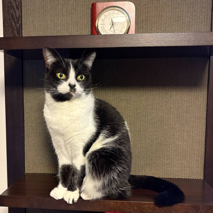 80ec4a65 1781 44a6 8a03 d6f6155ee799 1771717398629