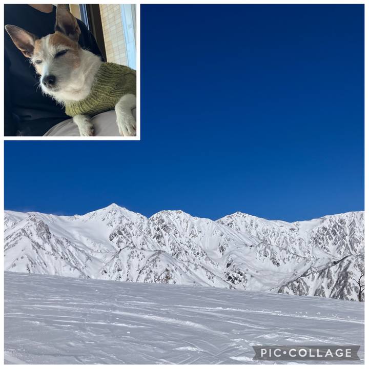 80ec5d4d b832 466c b3a2 64021e03dabc 1708213113103