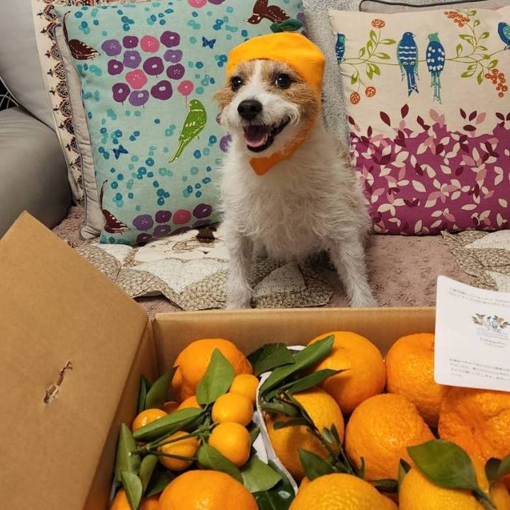 80ec69fd a95e 4ffc ab29 049eb3c044a2 1673356587186