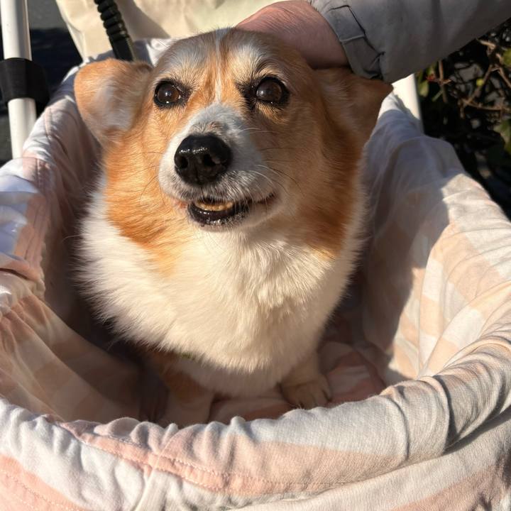 80ecbdb6 e366 4ce8 8815 fe2eced465e8 1769910295656