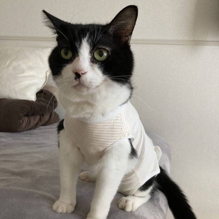 80ecc6bc 7852 41d9 afbb ab1bcaf9eafd 1615210124791