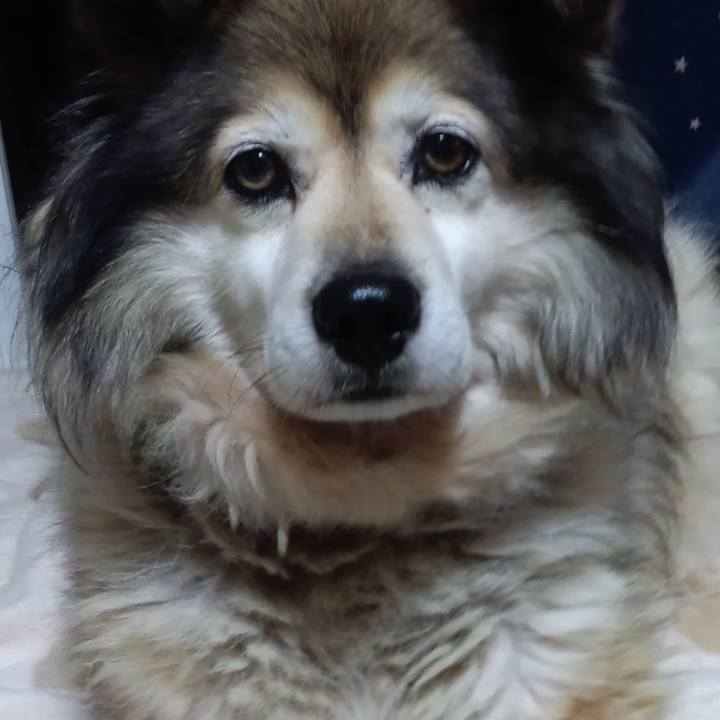 80ecfd91 7309 4fd7 8d91 494c90b42857 1664269946703