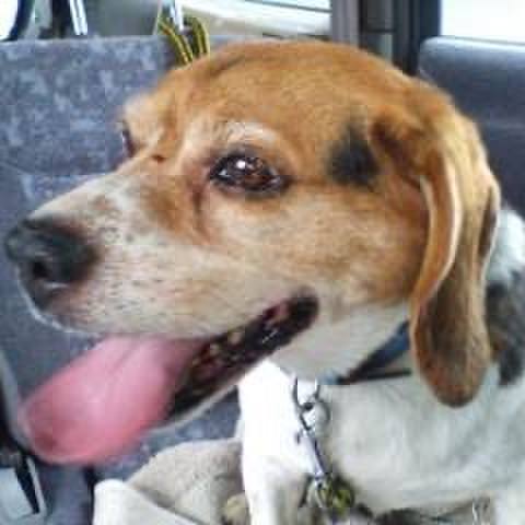 80ed17bb 71b5 4f81 96b3 1f172fe3c509 1752364427333