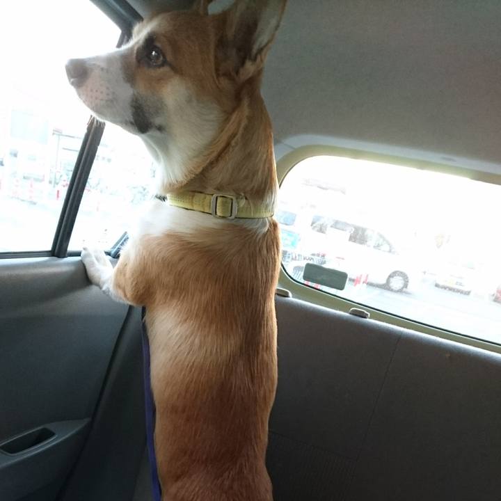 80ed34f4 280d 47fa b342 523106c53b5e 1575358474755