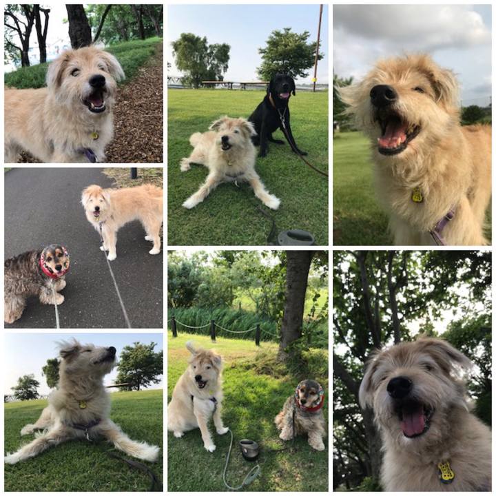 80ed451f cd8d 4d11 b723 145c408c38eb 1561433706230