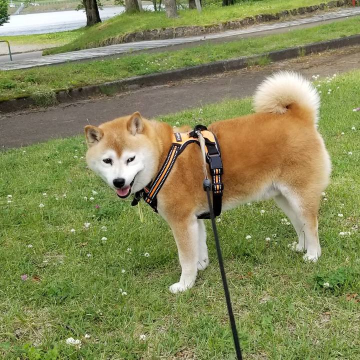 80ed470a b5e9 4bc4 b991 637234cdb974 1655361271456