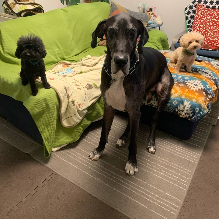 80ed6f8b ef18 4cfb 826c 687d958a5631 1571610846068