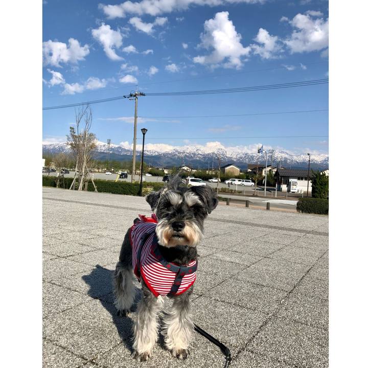 80edc5a5 e5d6 40c7 80ed a1cc62b9f0e1 1650190470331