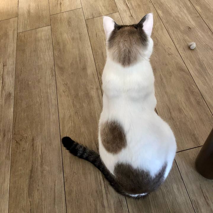 80edd2a4 4976 447b 8a9c 7bfbad66f016 1626654477629