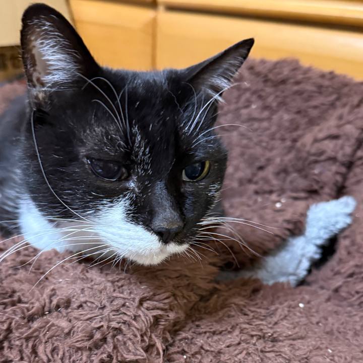 80edd465 d672 4f60 aaa2 3997bd1b61b5 1770811258725