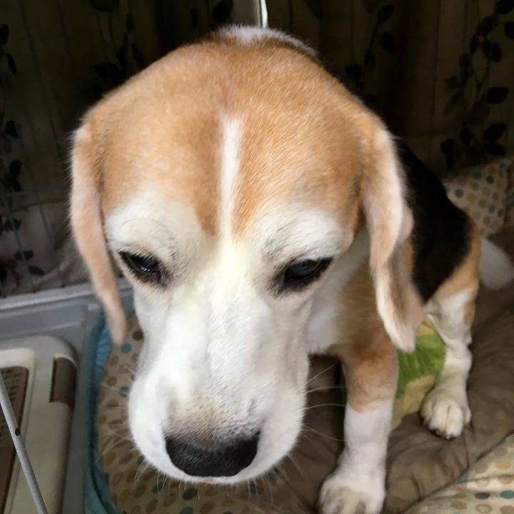 80edee39 ec21 4de4 94e5 ff3b2ab550a6 1725317469349