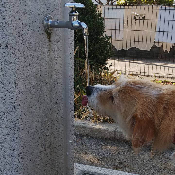 80ee1c70 fbba 4fc8 9aa5 e59ce37ba4b9 1551422277249