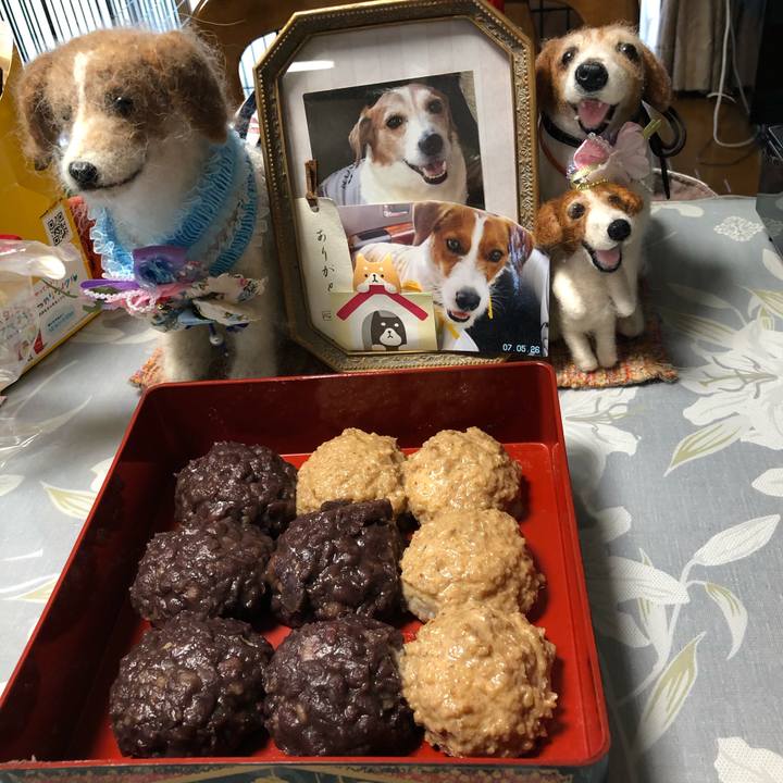 80ee5322 1f09 4524 9e8e e8bed7abed66 1600503531470