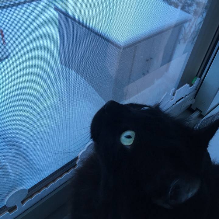 80ee668b f23b 44db 81ac b94177b6ccc5 1516930107079