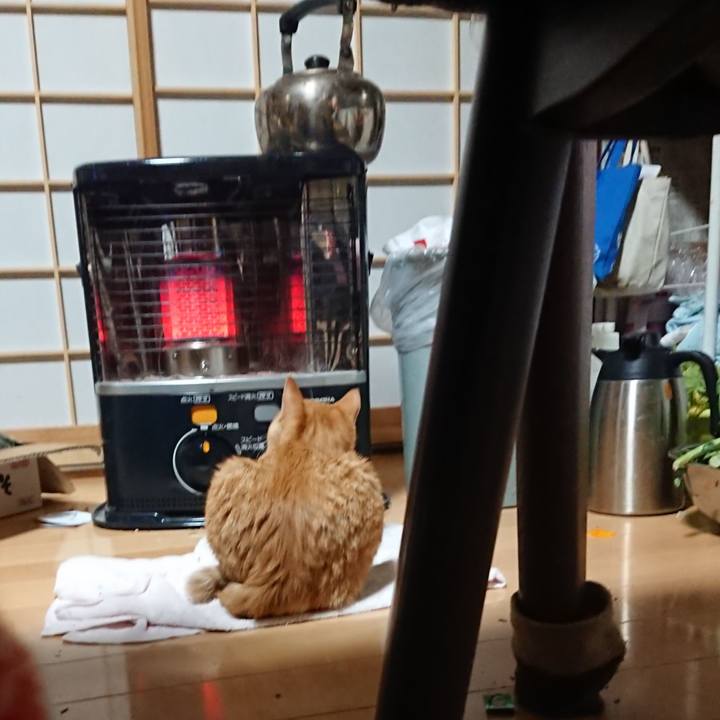 80eec60b 1c3e 4c87 a3a8 21a04bb476c0 1636318528532