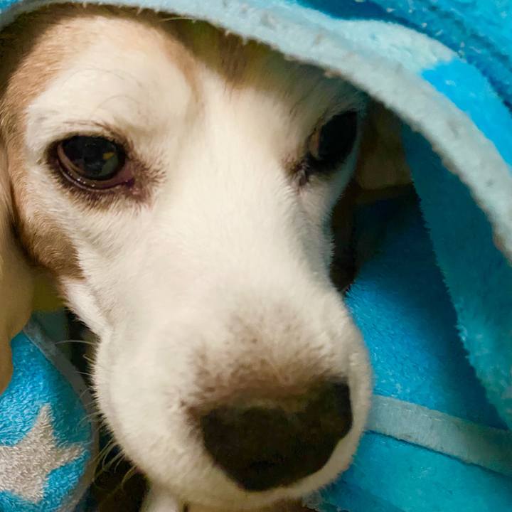 80eef42a e1e0 4fc0 ab9b 9f24f402e503 1586749719242