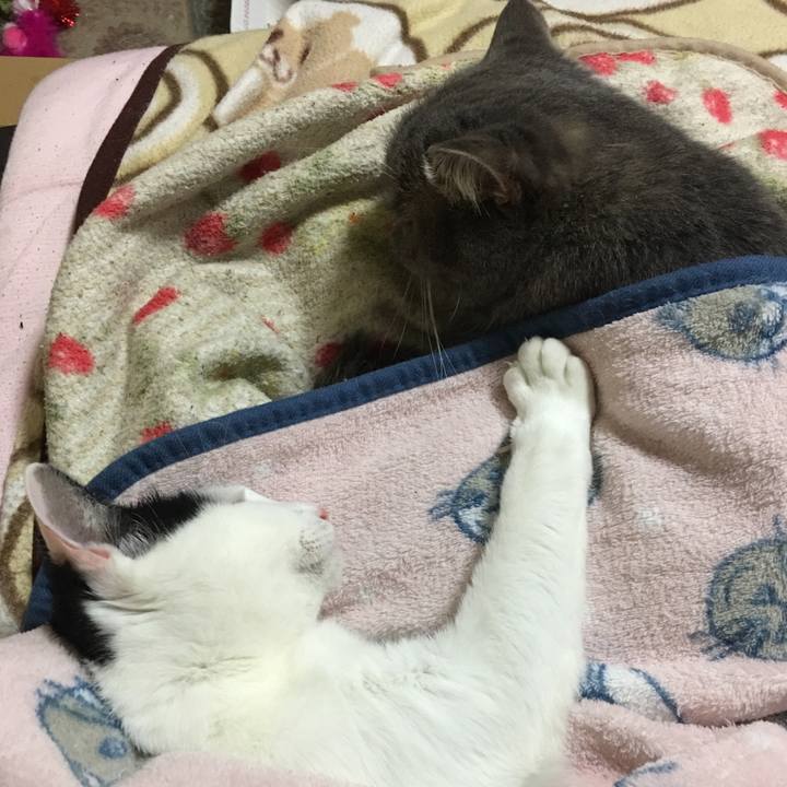 80ef23ea 8e63 4a2c b0f2 5febf9edf69a 1544527490109