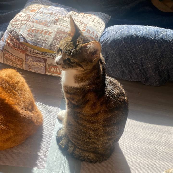 80ef32c4 3ccb 4b40 9f45 10a4fc97cd64 1644370734987