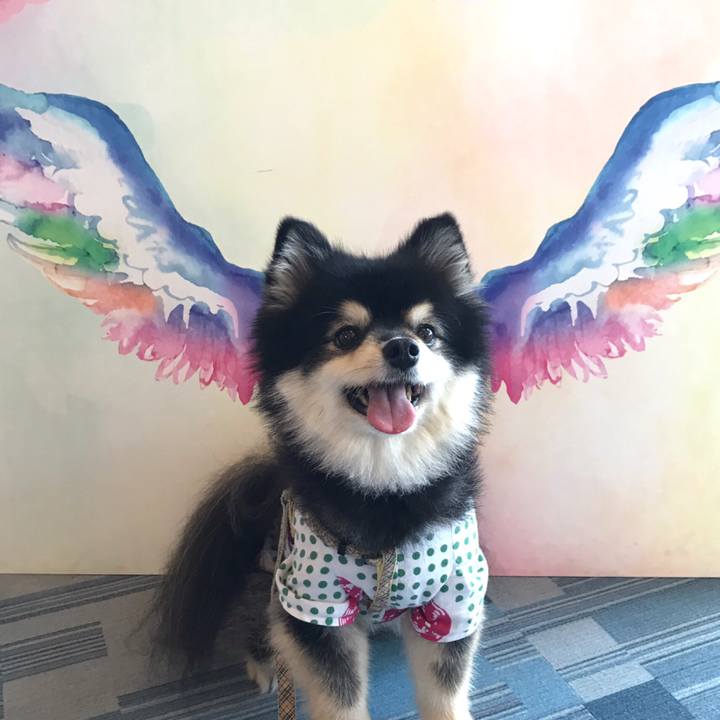 80ef607b f837 404f bbe4 07b312431219 1593302961847