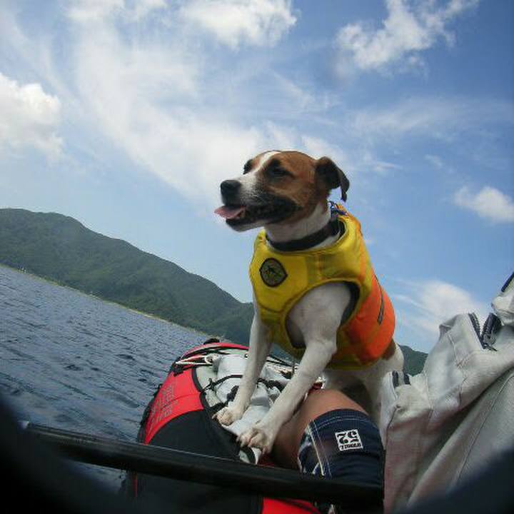 80ef7526 89dc 4260 bd4a 403074d6c46e 1565605612688