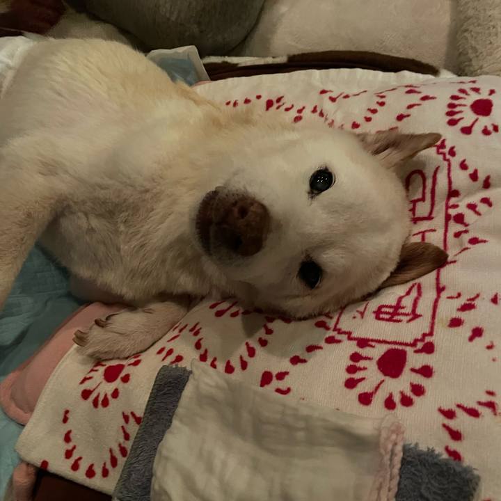 80ef8ade 1c1c 4c08 a593 9e7f239f1bbf 1678285542953