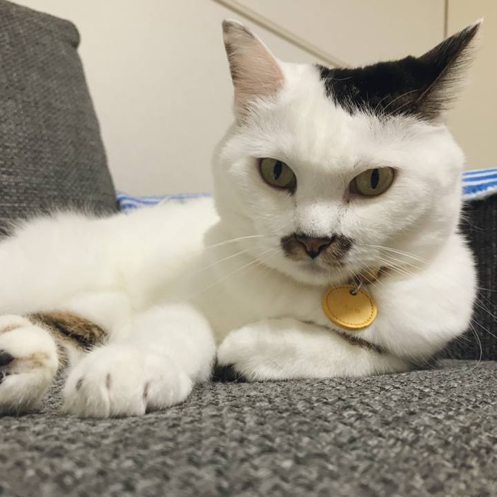 80efaeda d0ea 4954 ab3a e44f0883771f 1537675835995