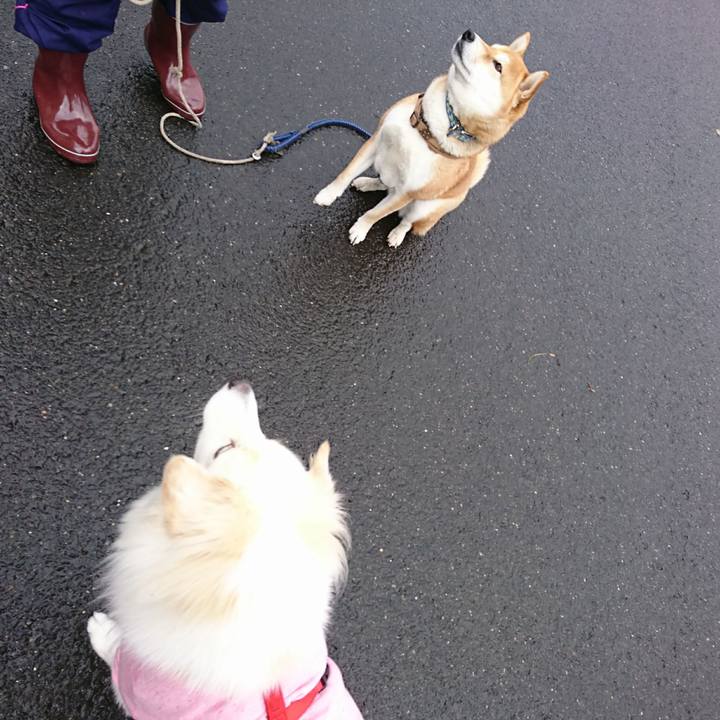 80efb662 728f 4ab5 a910 afe8b4a0bae4 1514165388378