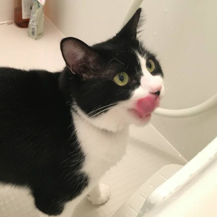 80efbe75 adca 471d 97b9 6f622e9ae353 1540551805056