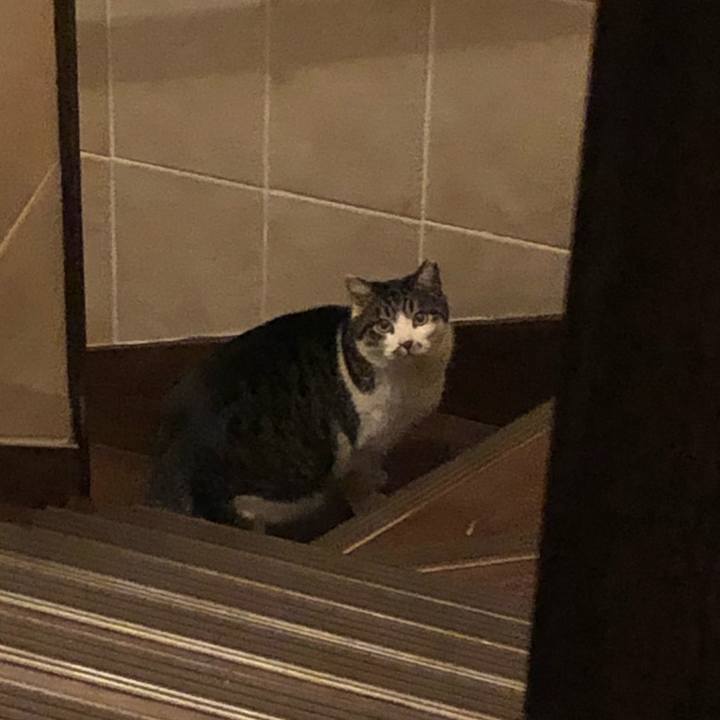 80f00adb c899 4886 880f c51f99375f8a 1548754852185