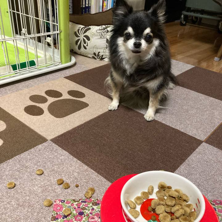 80f06005 60bd 43ad 929b 3dc02a195877 1766030881891