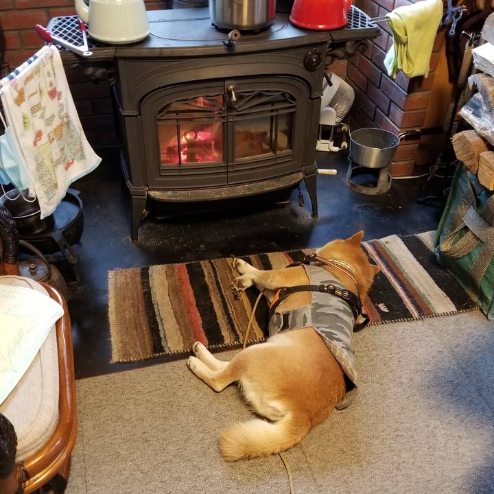 80f0a339 8a07 4c8b 8480 0d72a758fe52 1614662973558