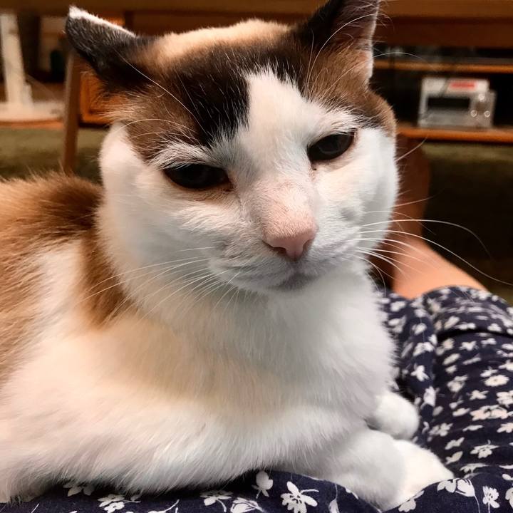 80f0ba0a aaa9 43eb b7cd 30fa5c452b42 1591017687148