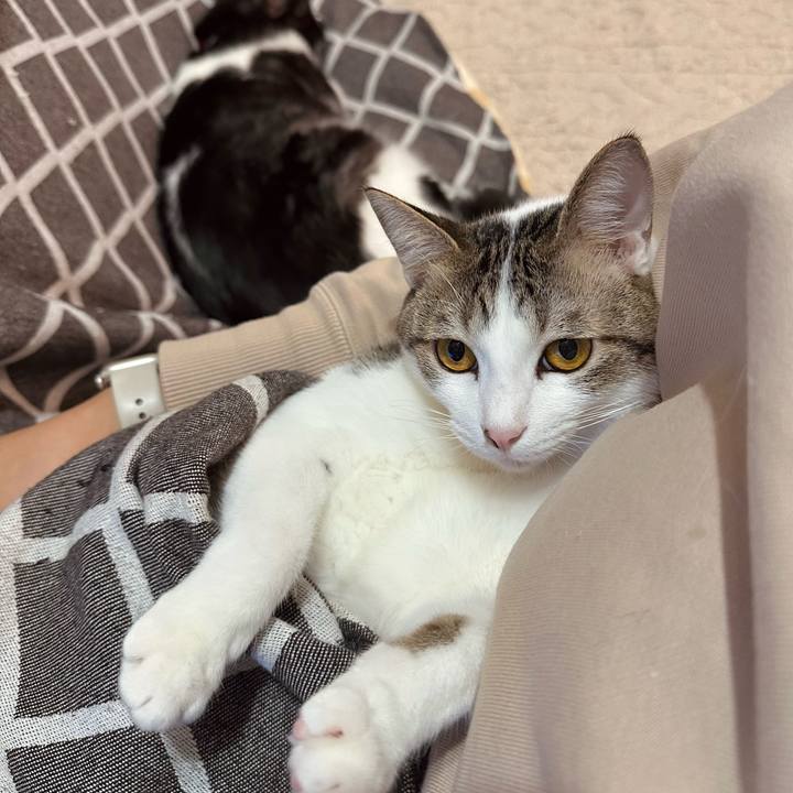 80f0cff4 8933 40d8 a3f1 373960f39208 1766663553427