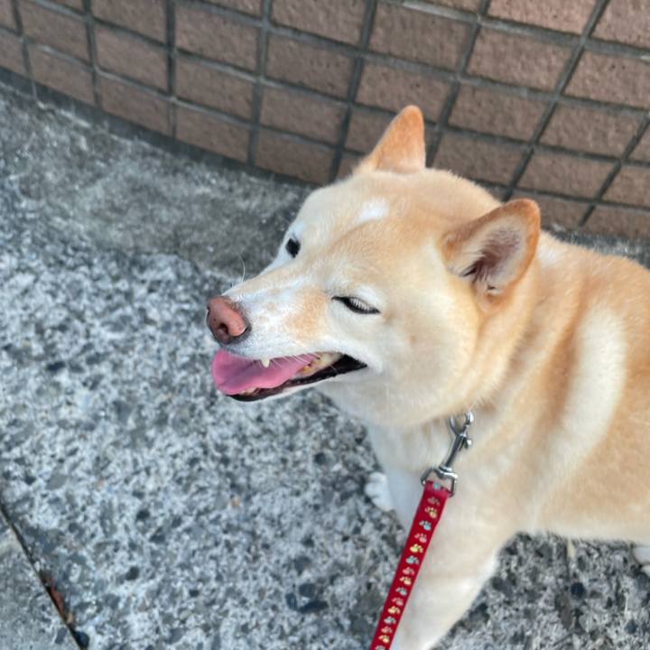 80f0e0a4 4b3e 4e36 bf53 fddd01c88d07 1721564567148