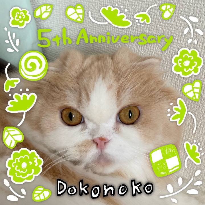 80f0fa18 f5b6 49da 8377 de49006f3cc5 1623585930222