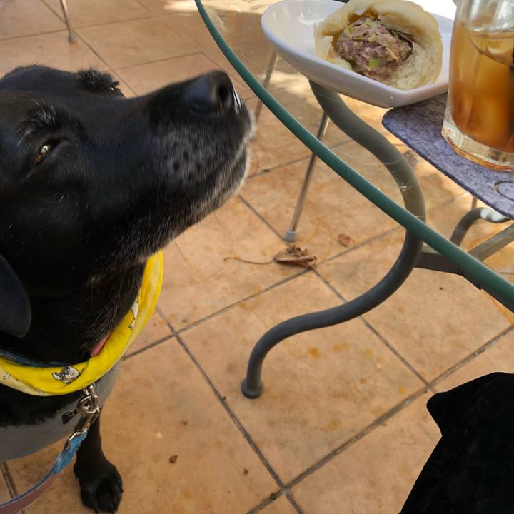 80f10606 c82f 47a4 a75a d061b4d26ff2 1540121584029