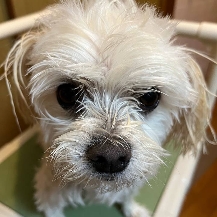 80f13436 f31d 4f0f bd10 5d66c1881c7a 1669031511003