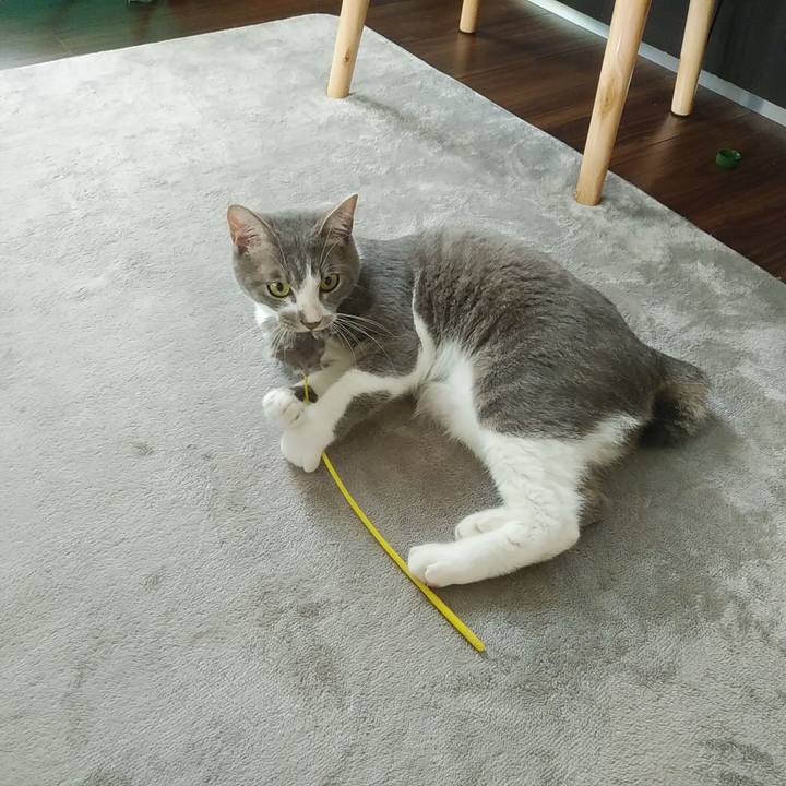 80f138e0 5d5e 4933 b966 90e9e3ea0d7d 1592176377624