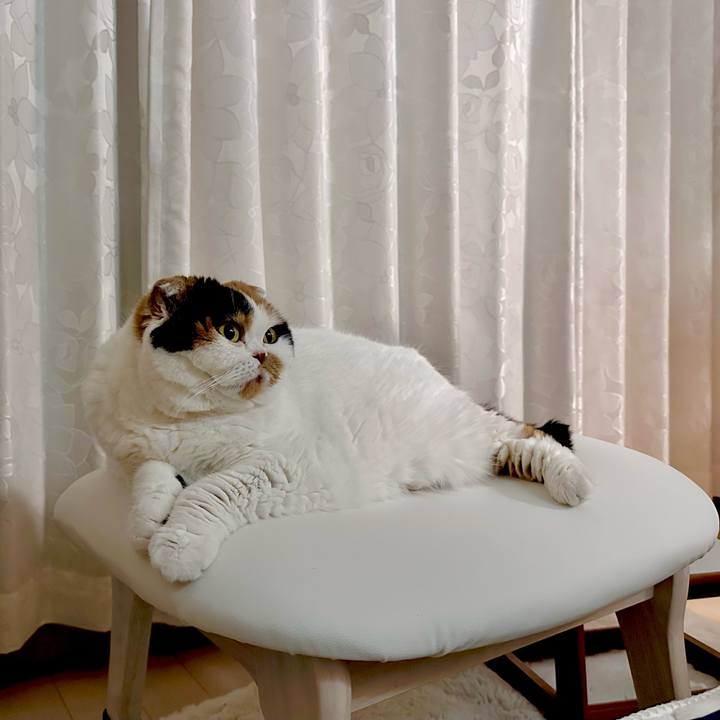 80f21e60 dcac 465d 81b3 d60bcf395e1d 1701213289153