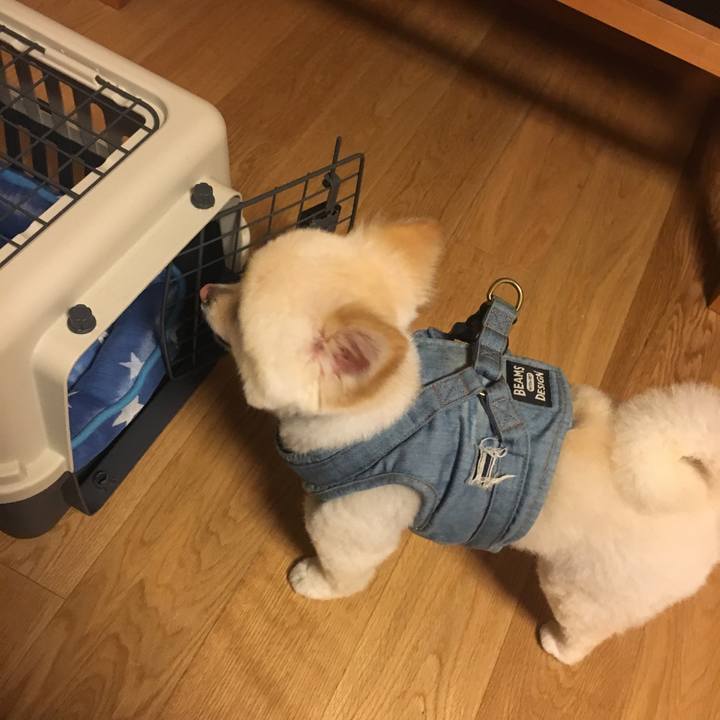 80f21f73 0cc1 40ed a67a 7f21b558e23e 1561466240410