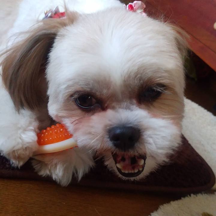 80f22bb5 5f99 461b 89f2 3eaacce05a74 1583391714052