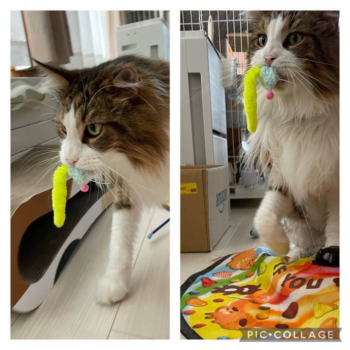 80f238d5 566f 498c bd6f 071221bc5b60 1690150017974