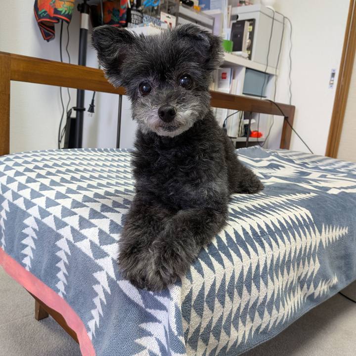 80f24bb8 9c50 4589 8fb7 eca082652ebb 1748594290909